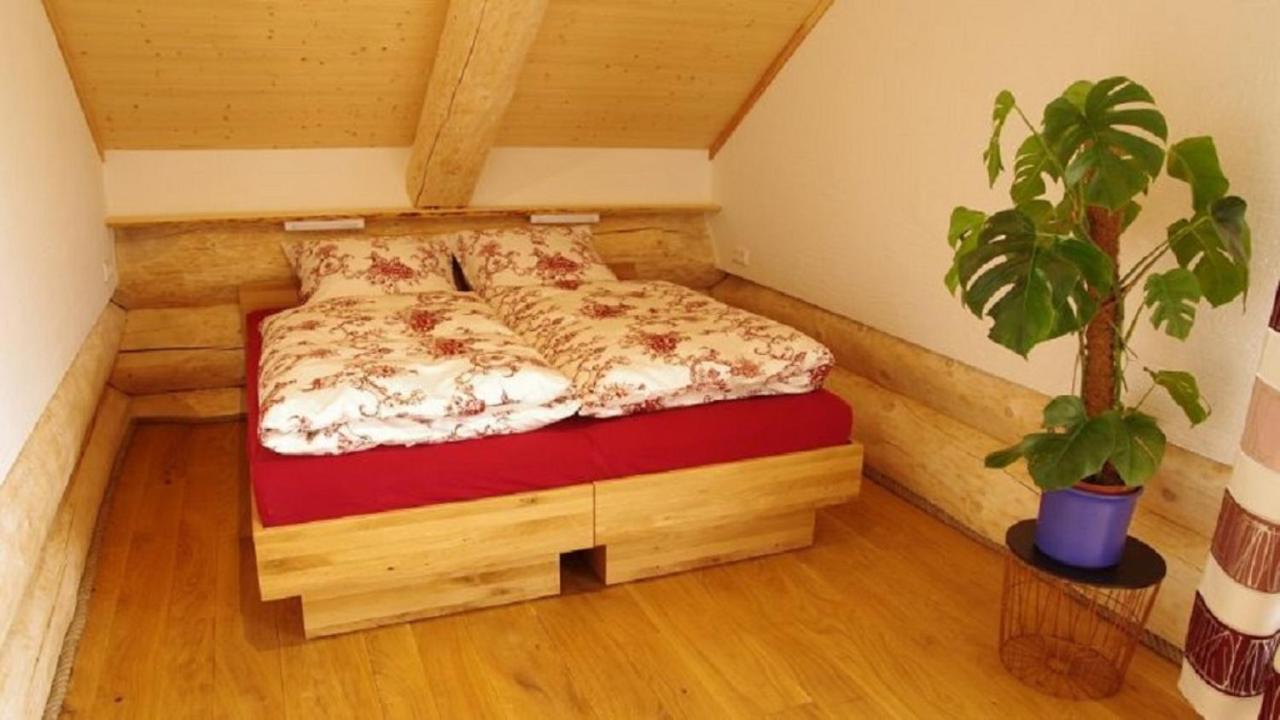 Holzhaus Lugerhof Apartamento Roding Exterior foto